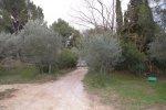 Ventabren, villa 5/6 pi�ces de 230 m2 sur 5100 m2