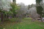 Ventabren, villa 5/6 pi�ces de 230 m2 sur 5100 m2