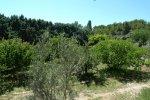 VENTABREN villa 8 pieces avec maisonnette sur 12500 m2 de parcelle